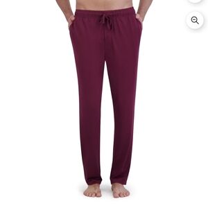 Hanes Men's Maroon Joggers